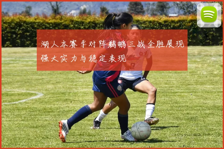 湖人本赛季对阵鹈鹕三战全胜展现强大实力与稳定表现