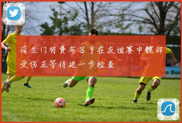 荷兰门将费布吕亨在友谊赛中髋部受伤正等待进一步检查